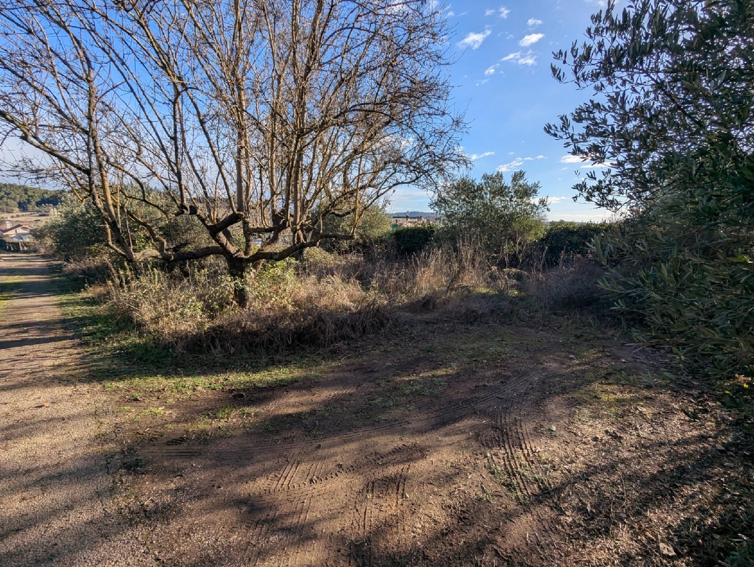  kaufen Grundstück Estella Tierra Estella 1