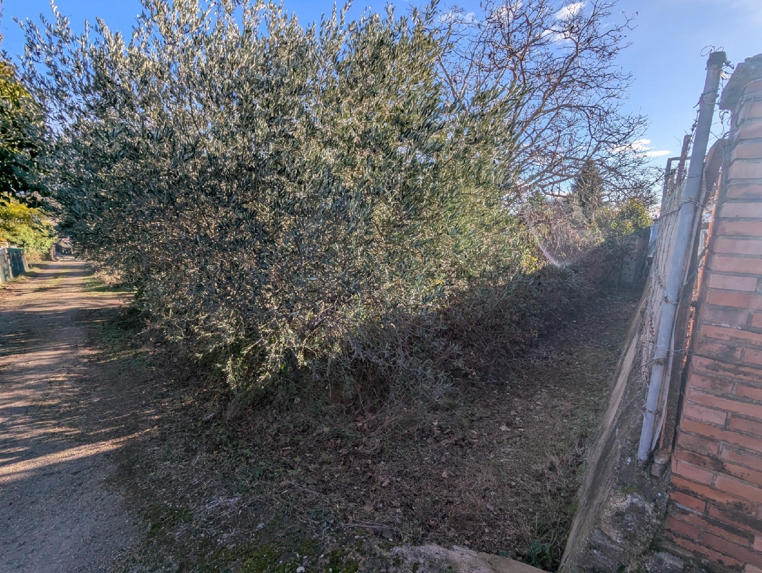  kaufen Grundstück Estella Tierra Estella 2