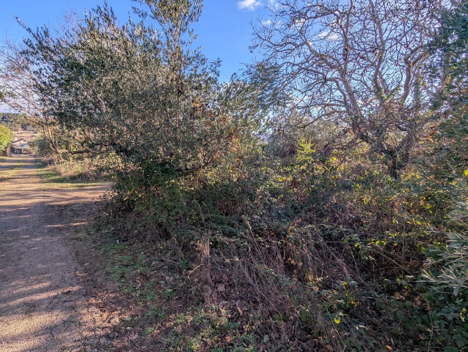  kaufen Grundstück Estella Tierra Estella 4