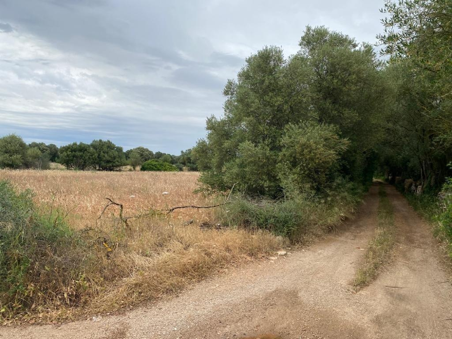  for sale plot Felanitx Sud 8