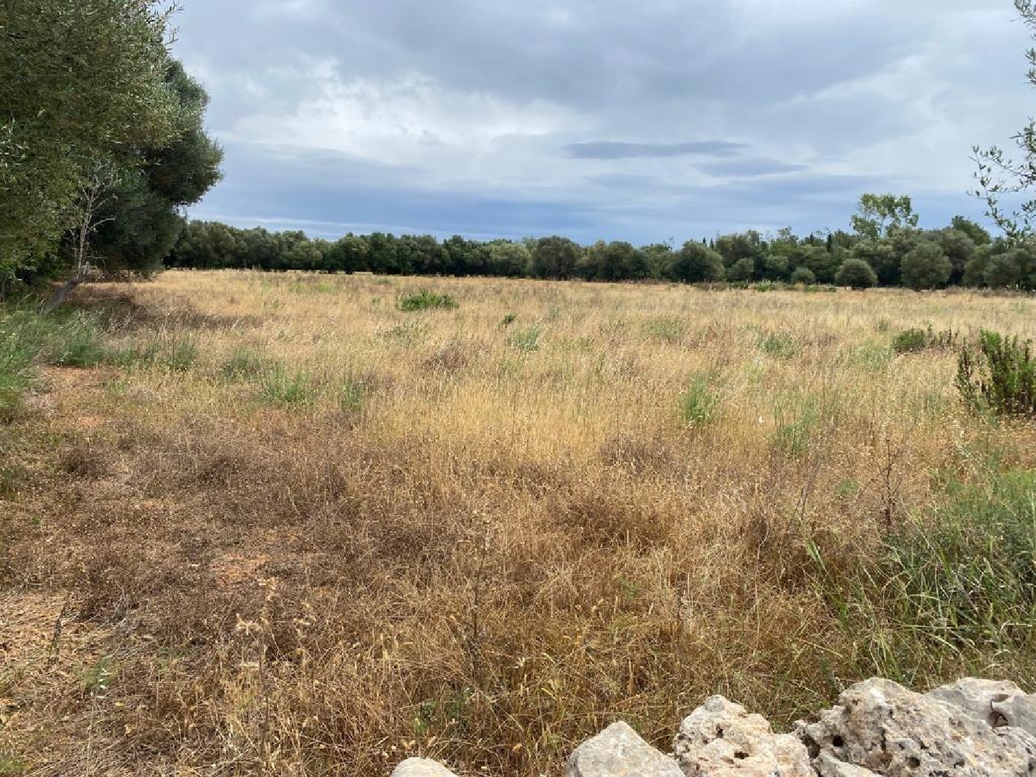  for sale plot Felanitx Sud 6