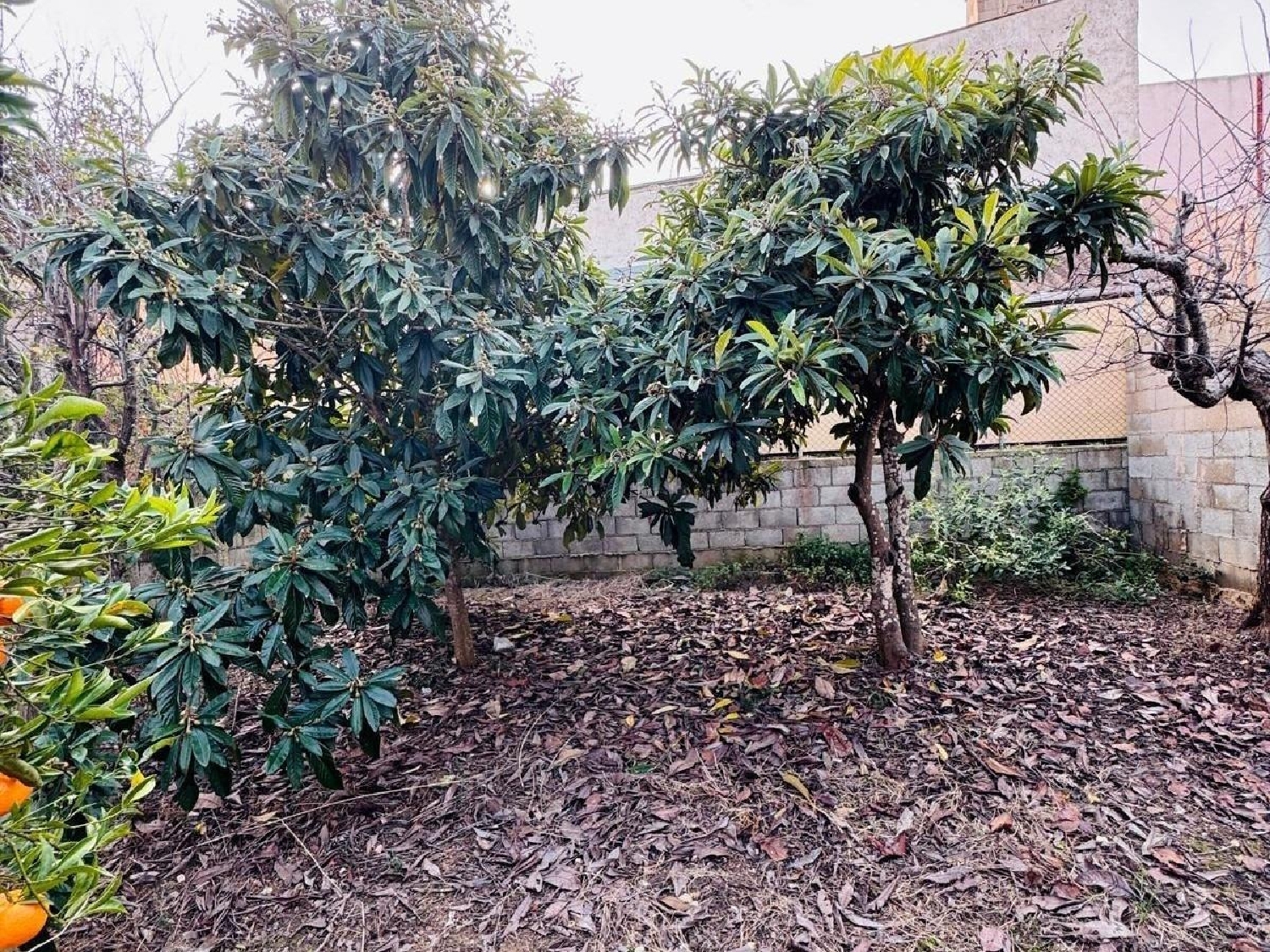  te koop perceel Felanitx Sud 3