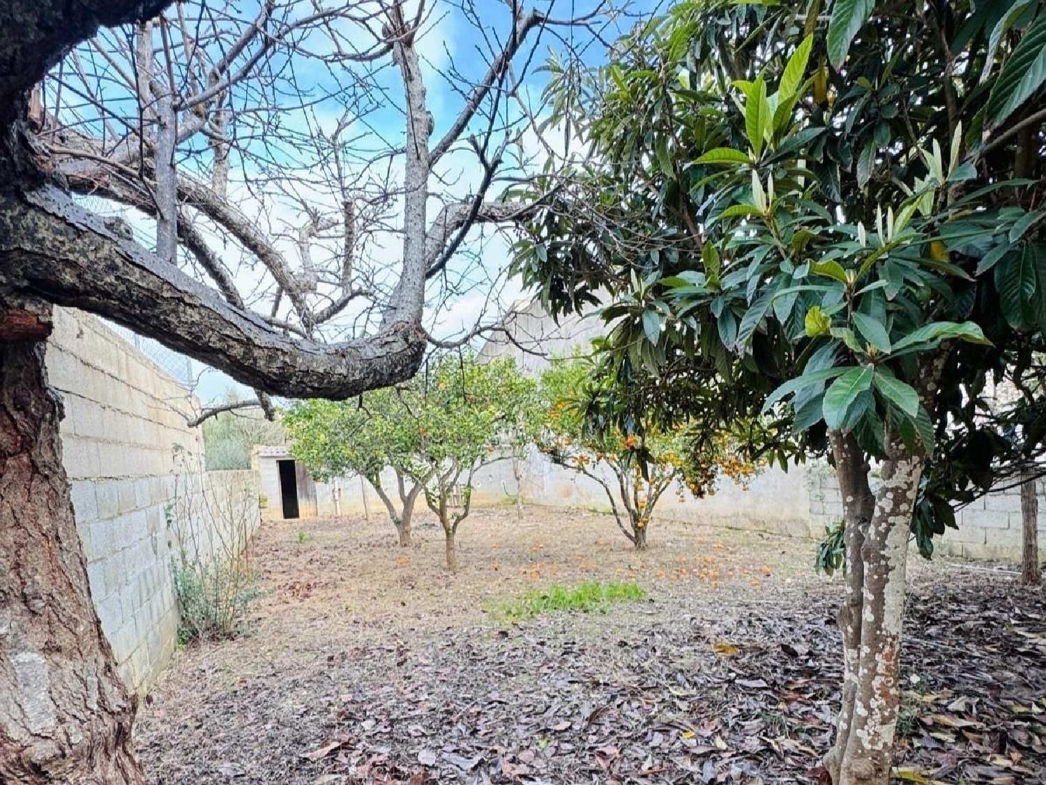  te koop perceel Felanitx Sud 5