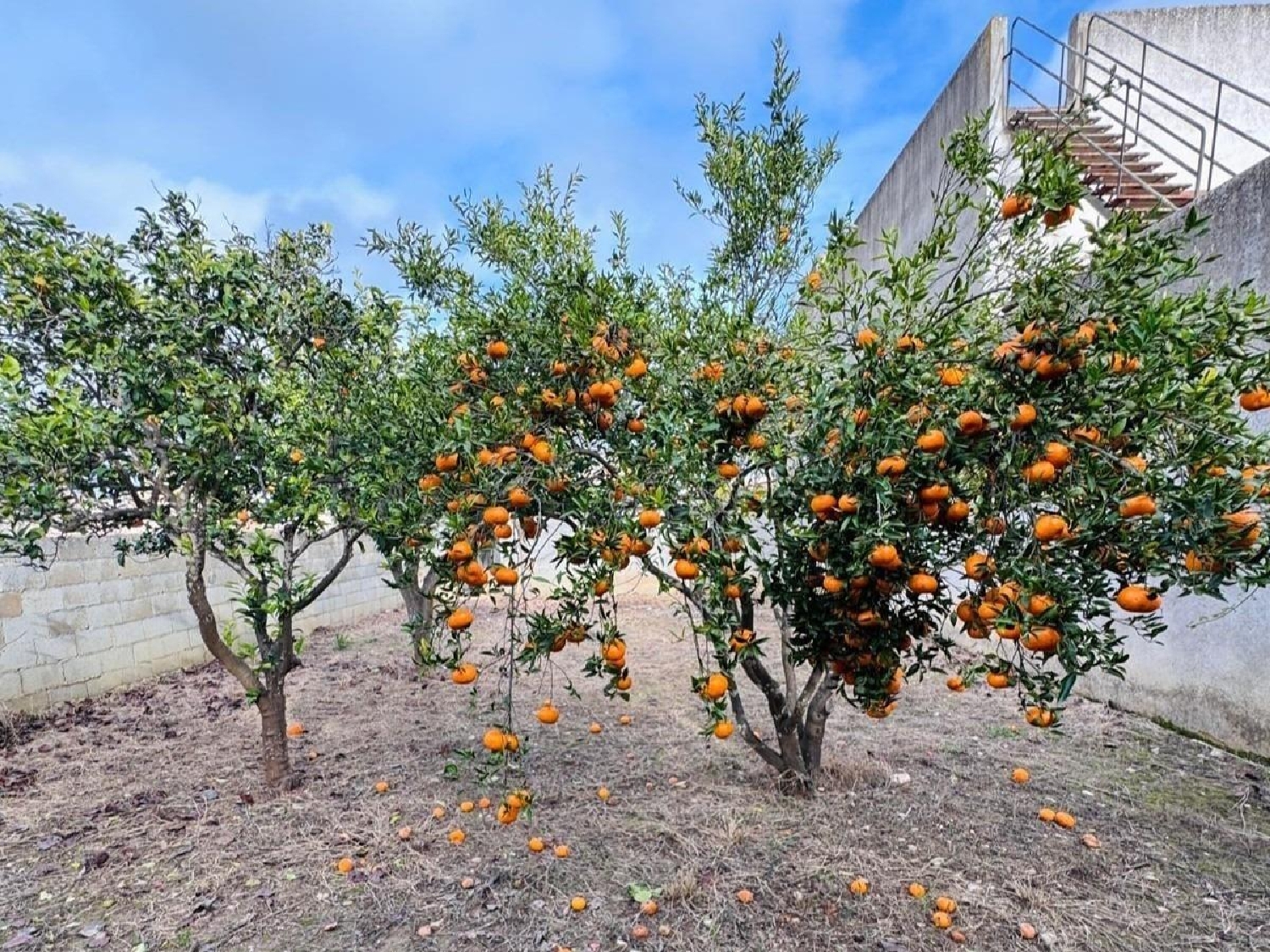  te koop perceel Felanitx Sud 2