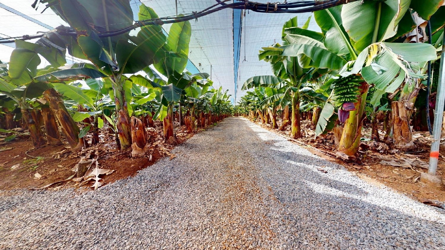  kaufen Grundstück Galdar Área Norte 2