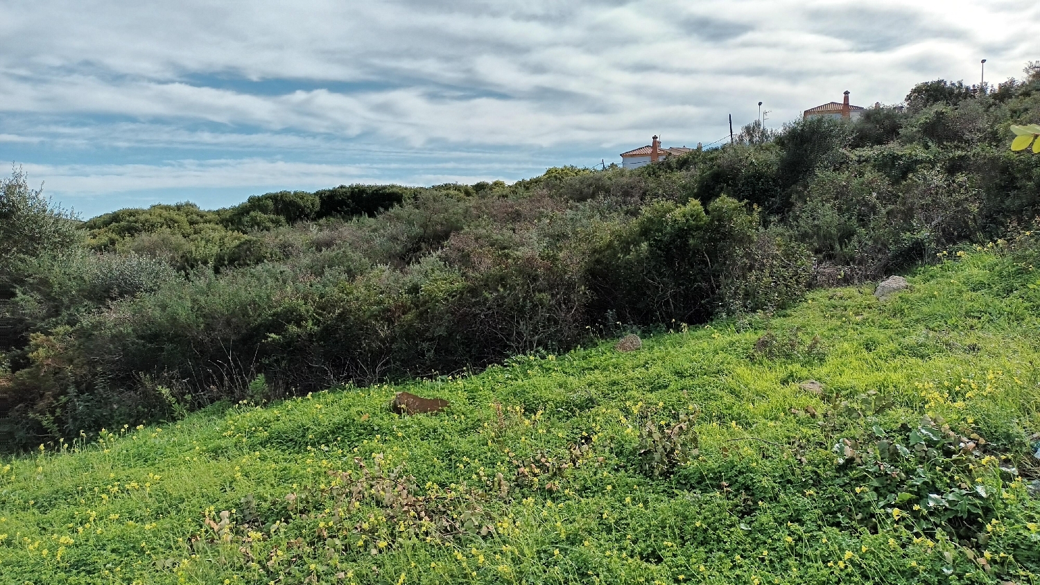  en venta terreno La Linea De La Concepcion Campo De Gibraltar 1