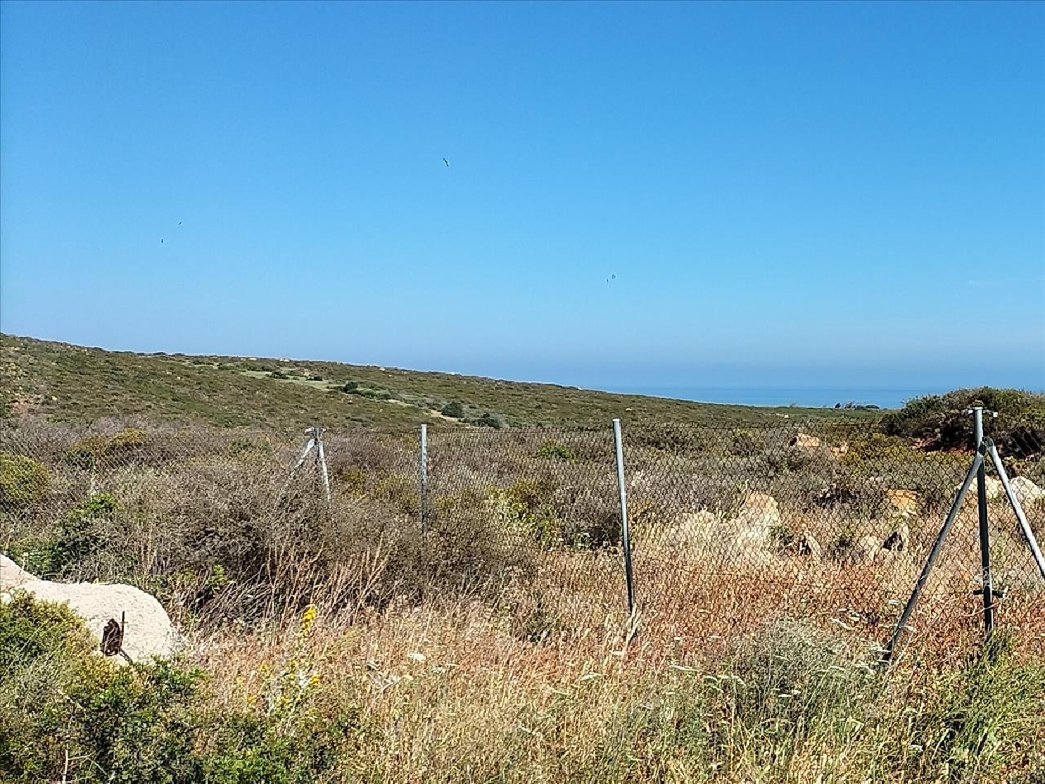  en venta terreno La Linea De La Concepcion Campo De Gibraltar 4