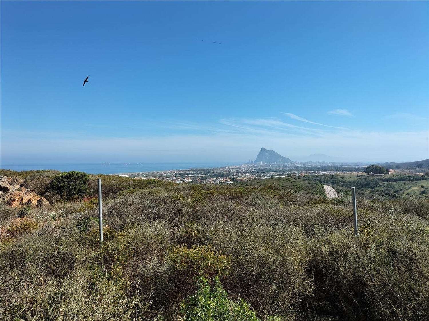  en venta terreno La Linea De La Concepcion Campo De Gibraltar 3
