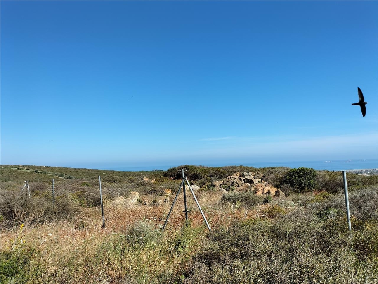  en venta terreno La Linea De La Concepcion Campo De Gibraltar 6