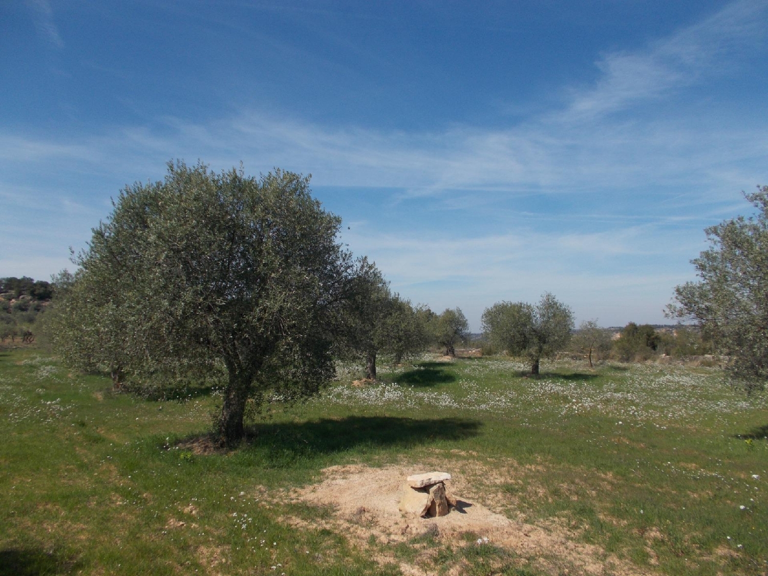  till salu tomt La Pobla De Cérvoles Garrigues 8