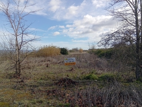 La Pobla Del Duc Vall D''albaida terreno foto 6344324