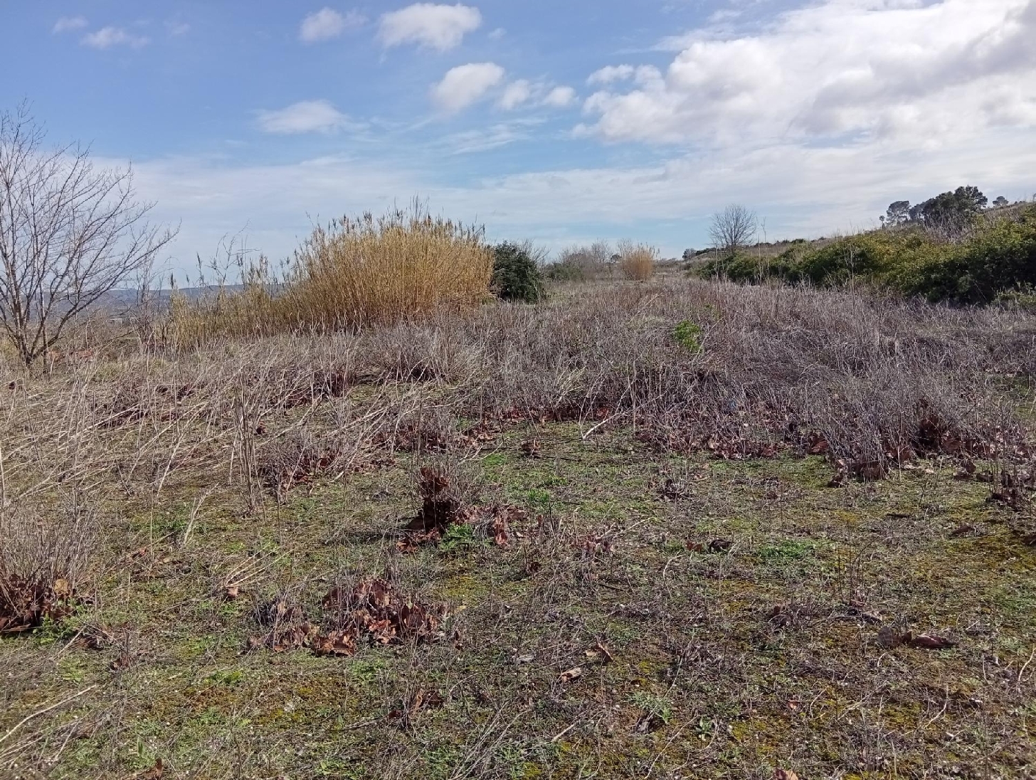  en venta terreno La Pobla Del Duc Vall D'albaida 4