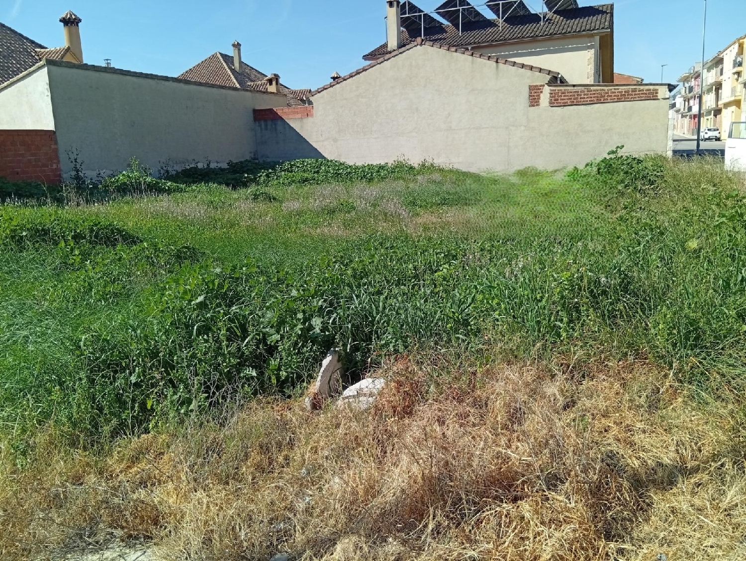  for sale plot La Pobla Del Duc Vall D'albaida 4