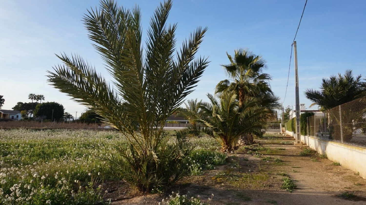  kaufen Grundstück Las Bayas Baix Vinalopó 8