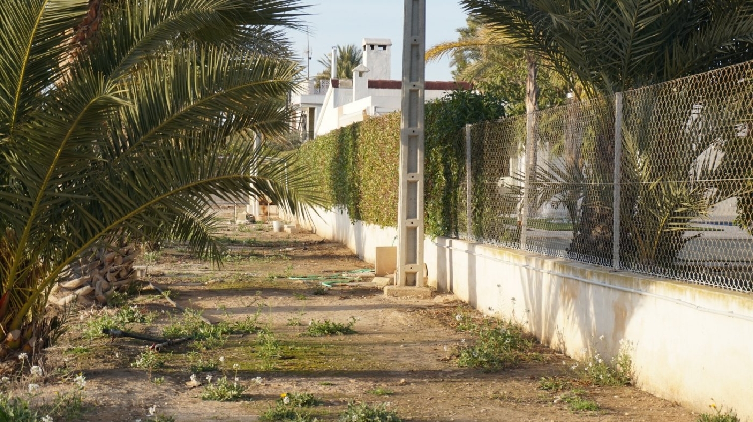  kaufen Grundstück Las Bayas Baix Vinalopó 6