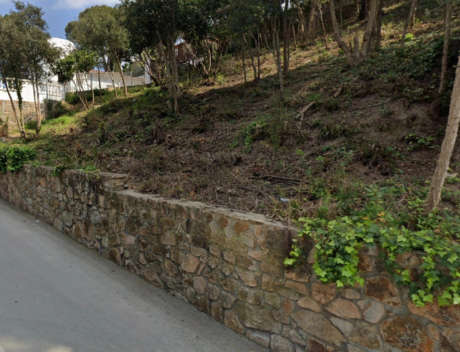  kaufen Grundstück Lloret De Mar Selva 4