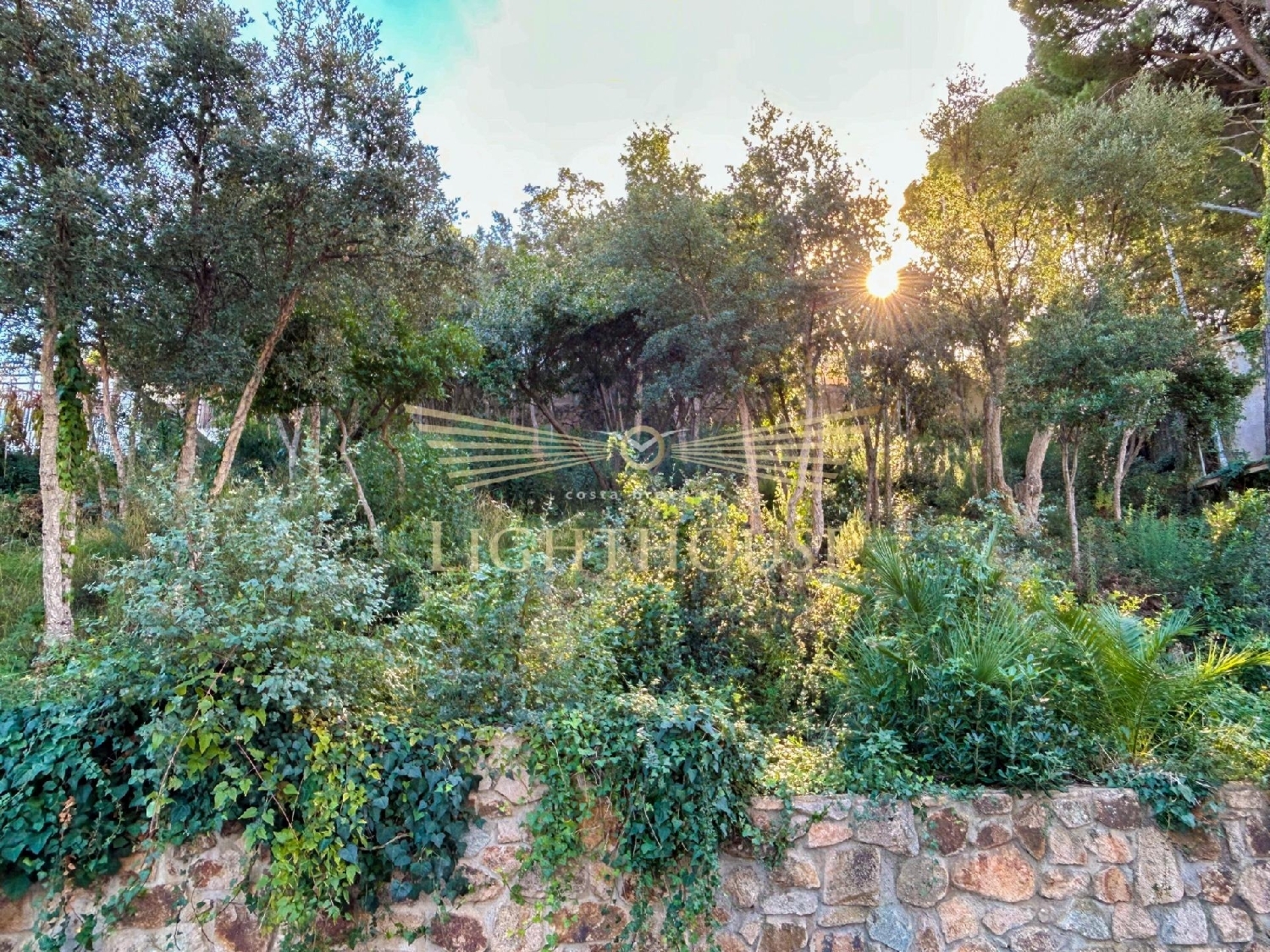  kaufen Grundstück Lloret De Mar Selva 2