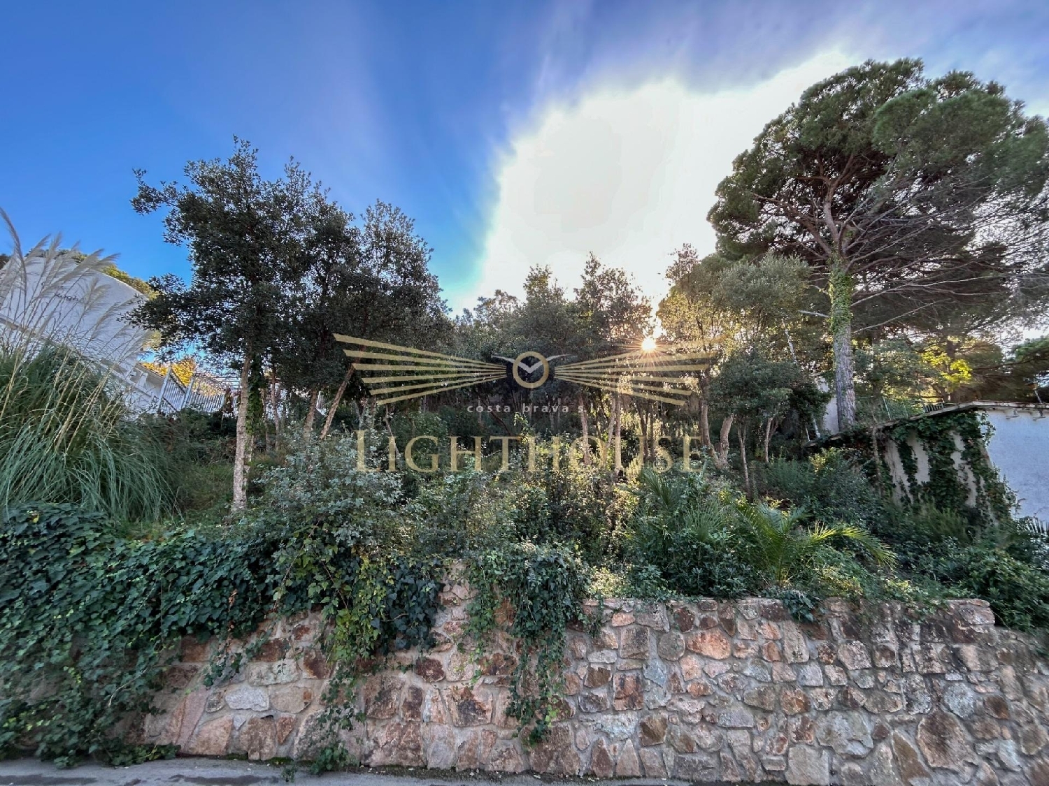  kaufen Grundstück Lloret De Mar Selva 1