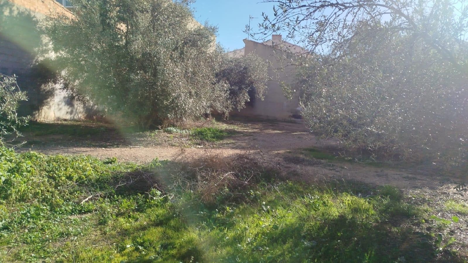  à vendre terrain L'olleria Vall D'albaida 3