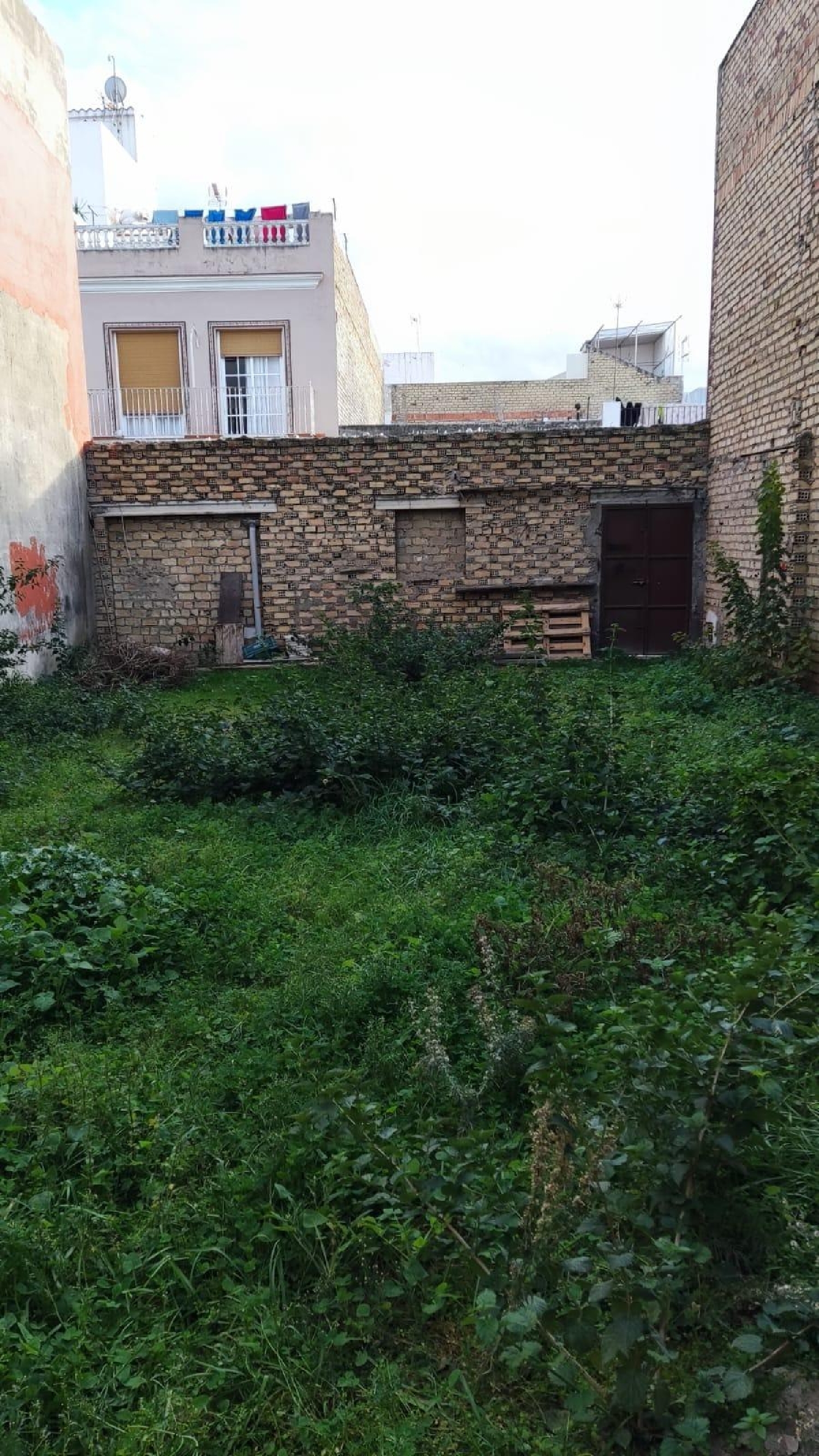 kaufen Grundstück Los Palacios Y Villafranca Bajo Guadalquivir 5