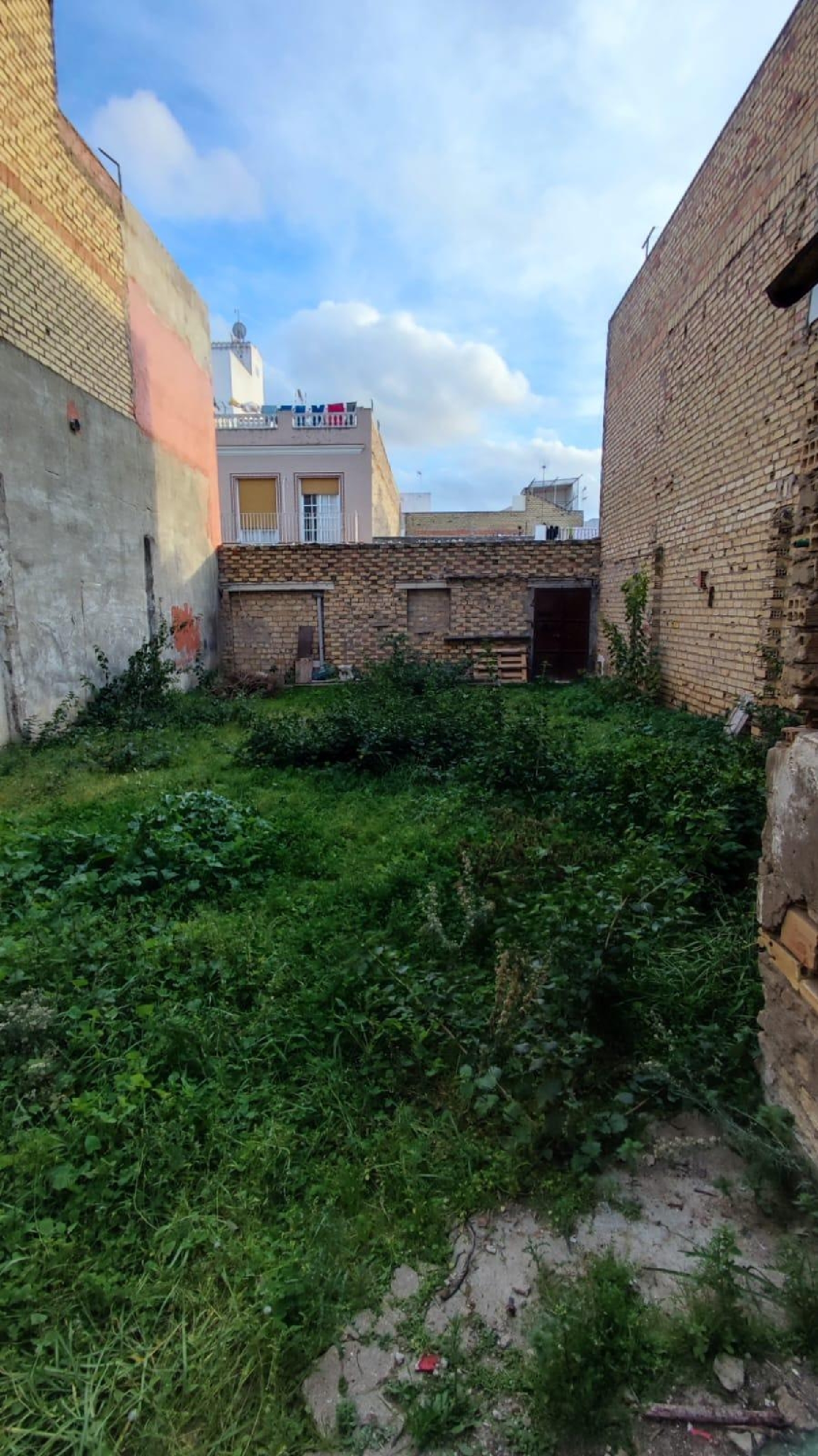 kaufen Grundstück Los Palacios Y Villafranca Bajo Guadalquivir 4