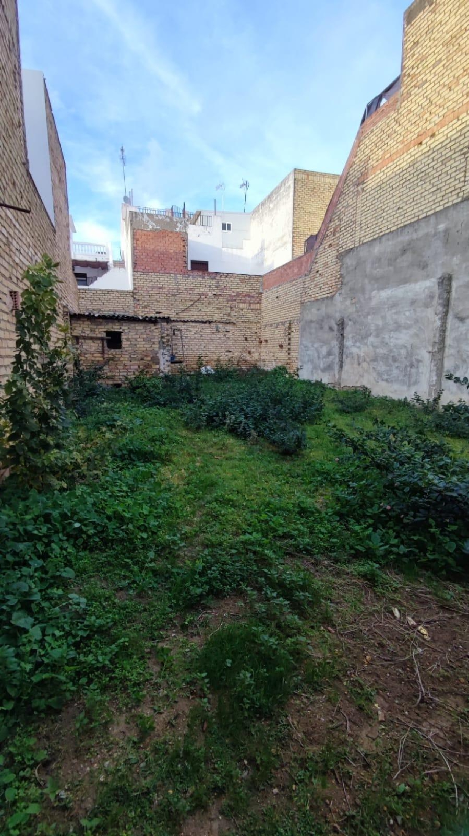 kaufen Grundstück Los Palacios Y Villafranca Bajo Guadalquivir 1