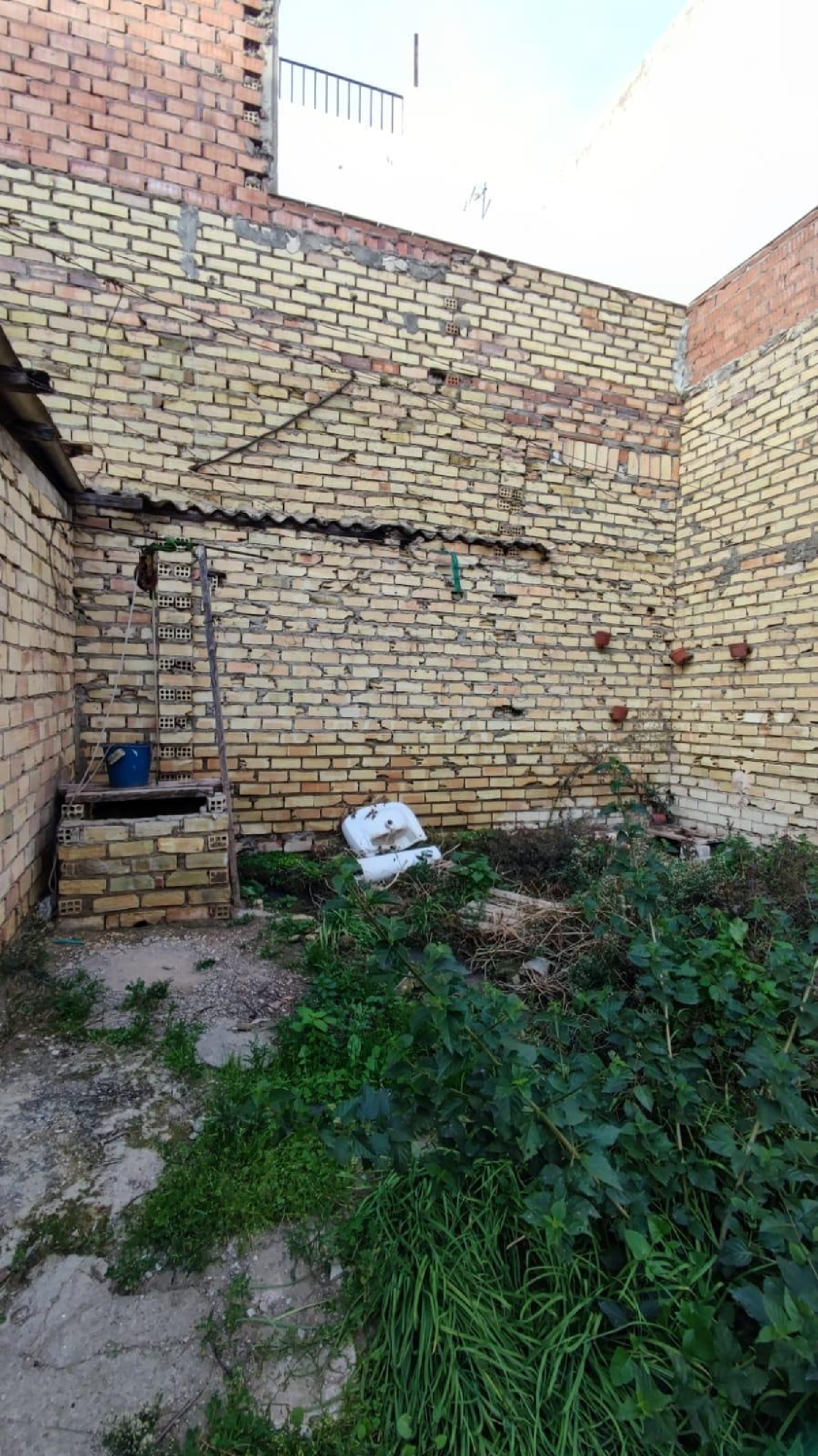 kaufen Grundstück Los Palacios Y Villafranca Bajo Guadalquivir 3