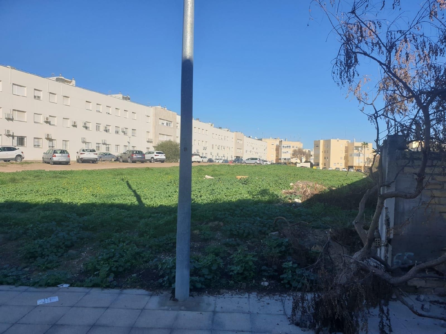  for sale plot Marchena Campiña De Morón Y Marchena 6