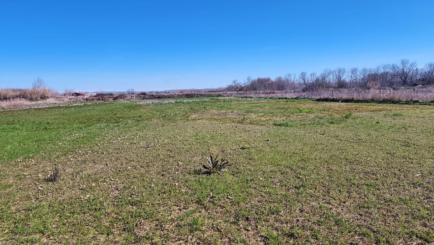 te koop perceel Marcilla Ribera Alta 2