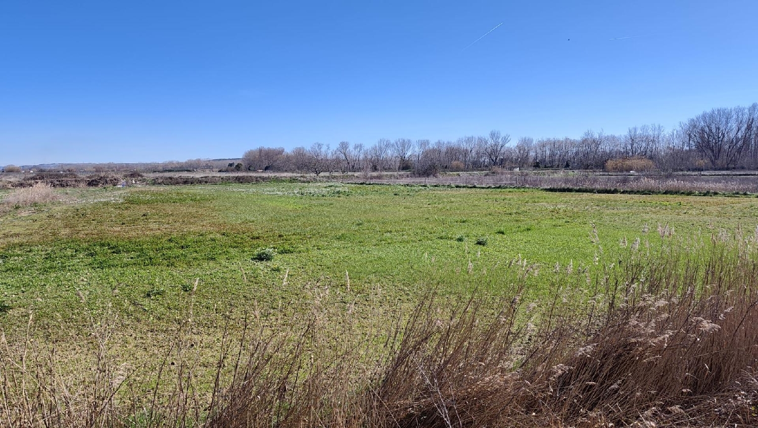 te koop perceel Marcilla Ribera Alta 3