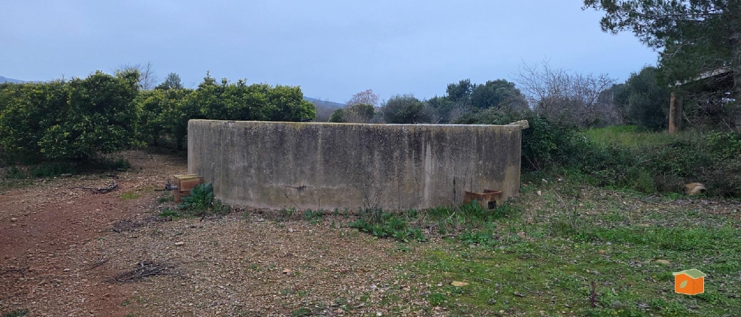  à vendre terrain Masdenverge Montsià 8