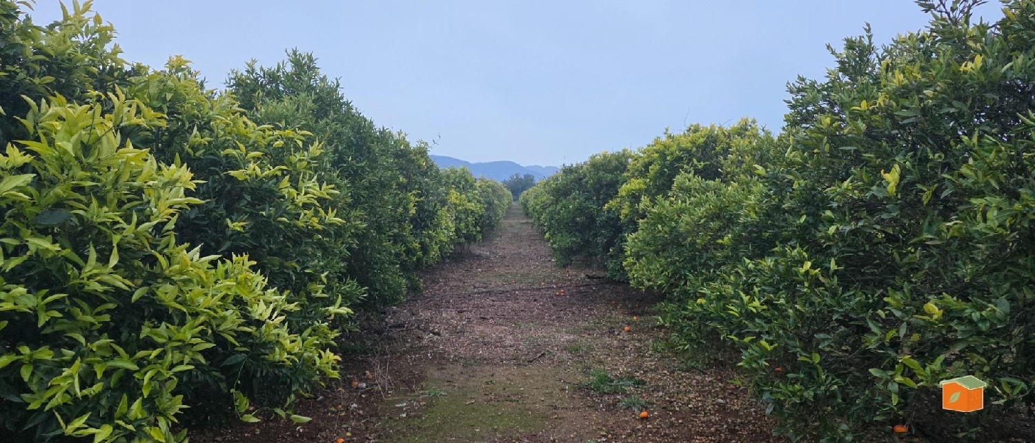  à vendre terrain Masdenverge Montsià 1