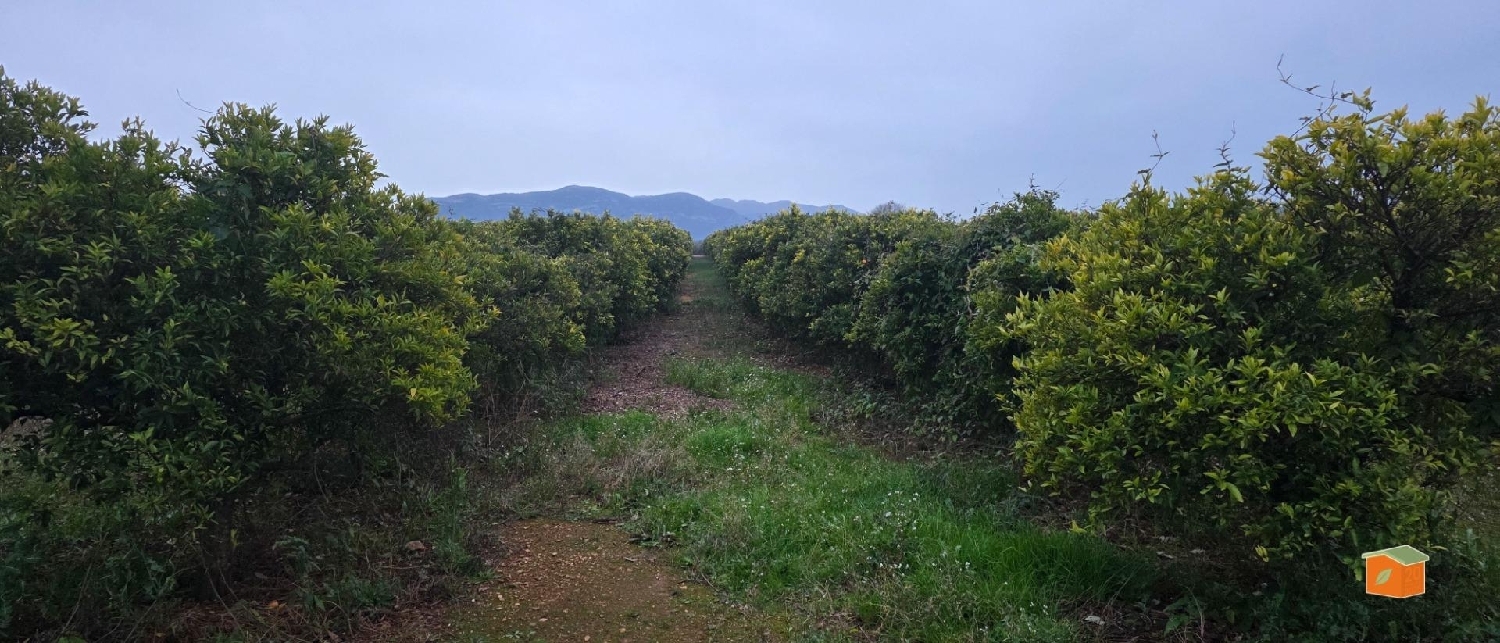  à vendre terrain Masdenverge Montsià 6