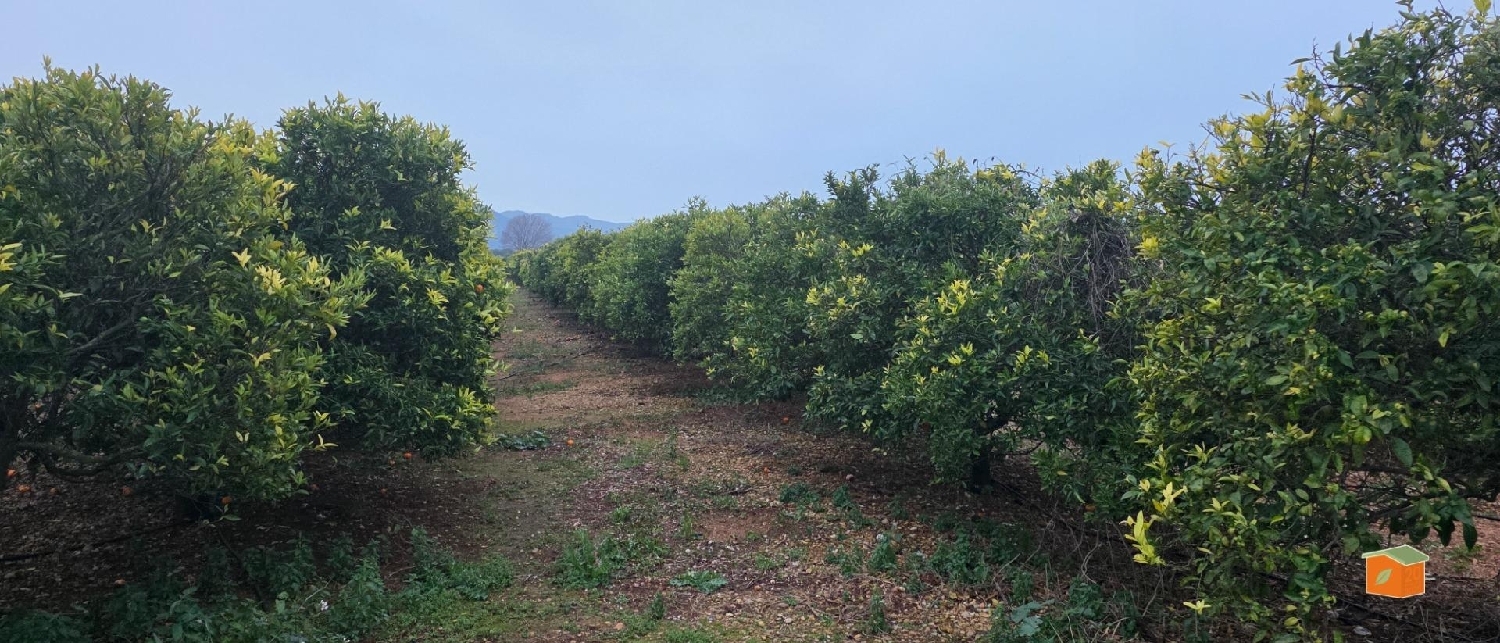  à vendre terrain Masdenverge Montsià 3