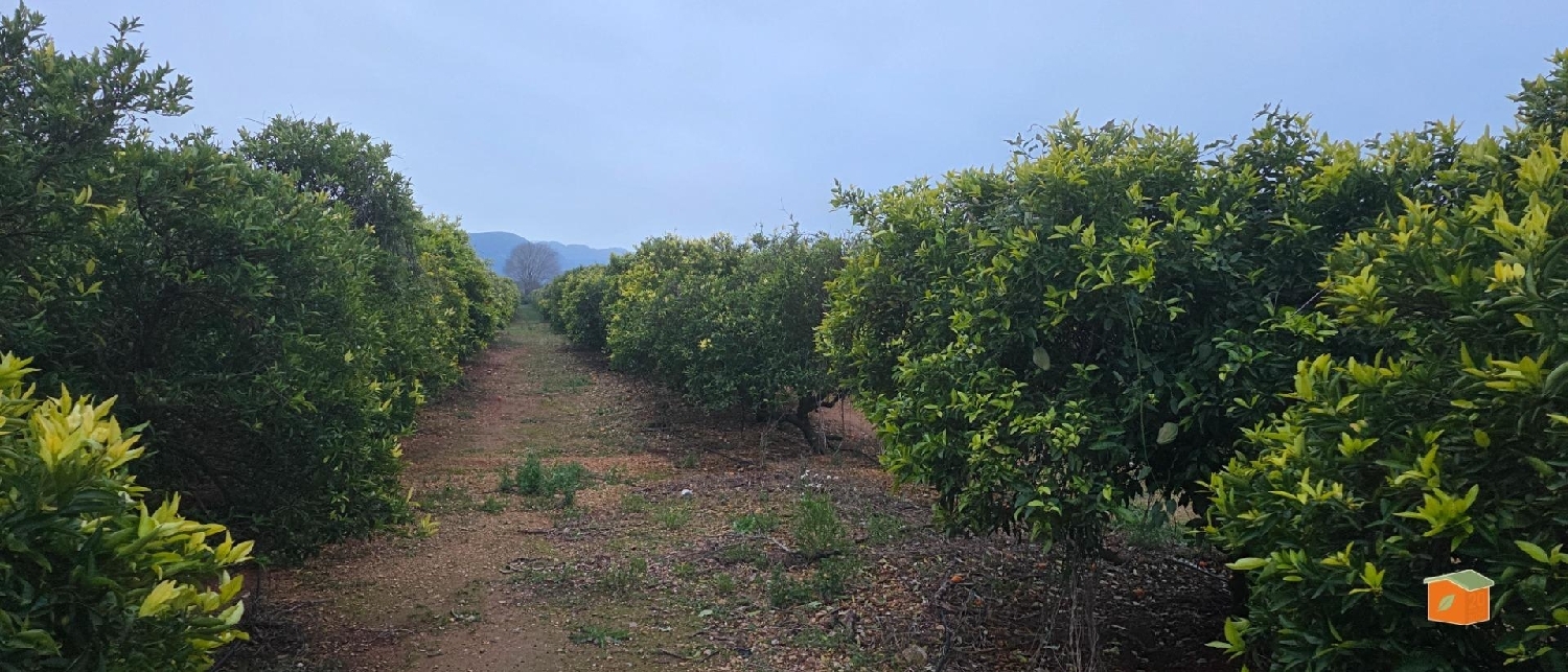  à vendre terrain Masdenverge Montsià 5