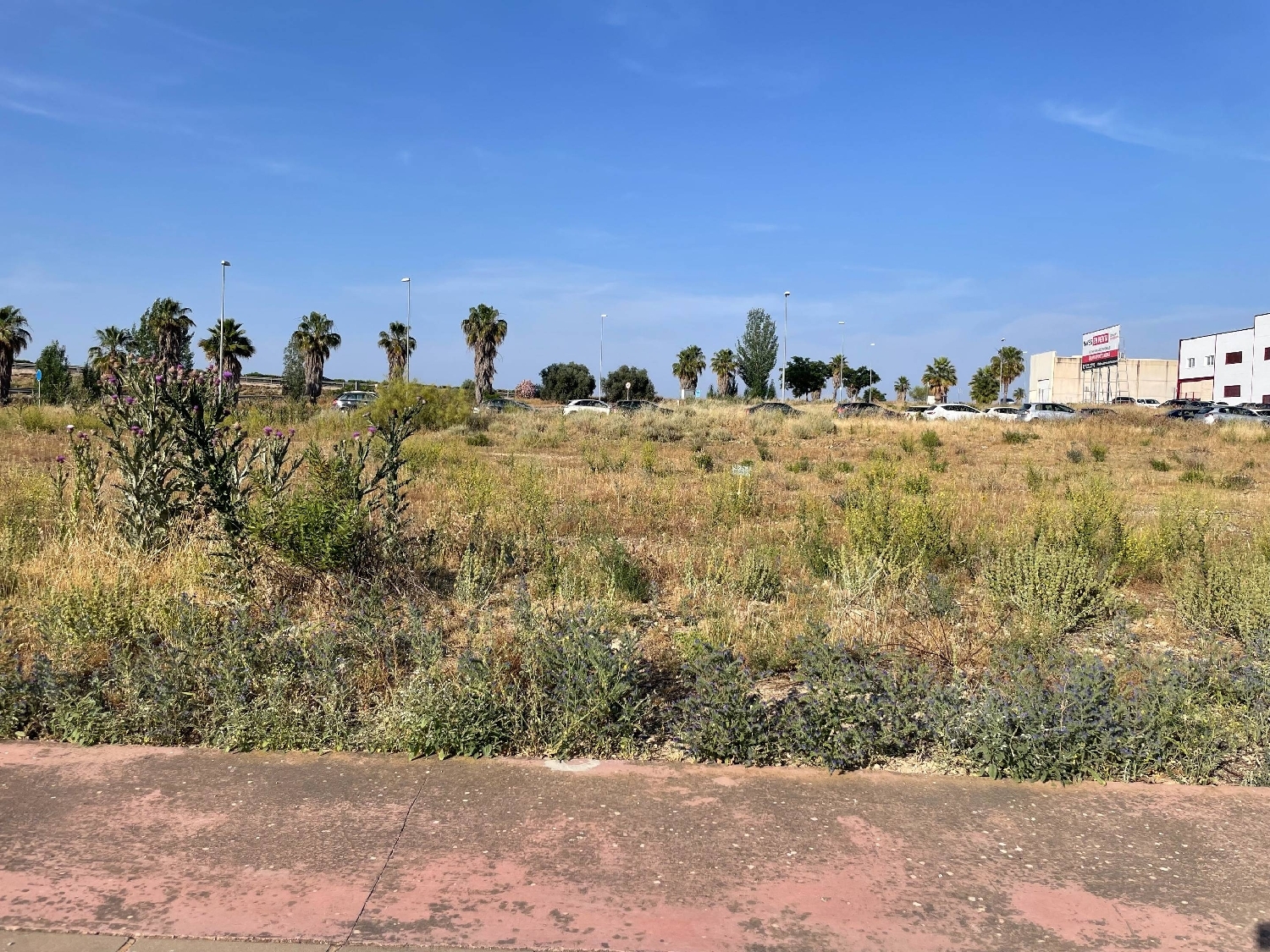  kaufen Grundstück Mollina Antequera 8