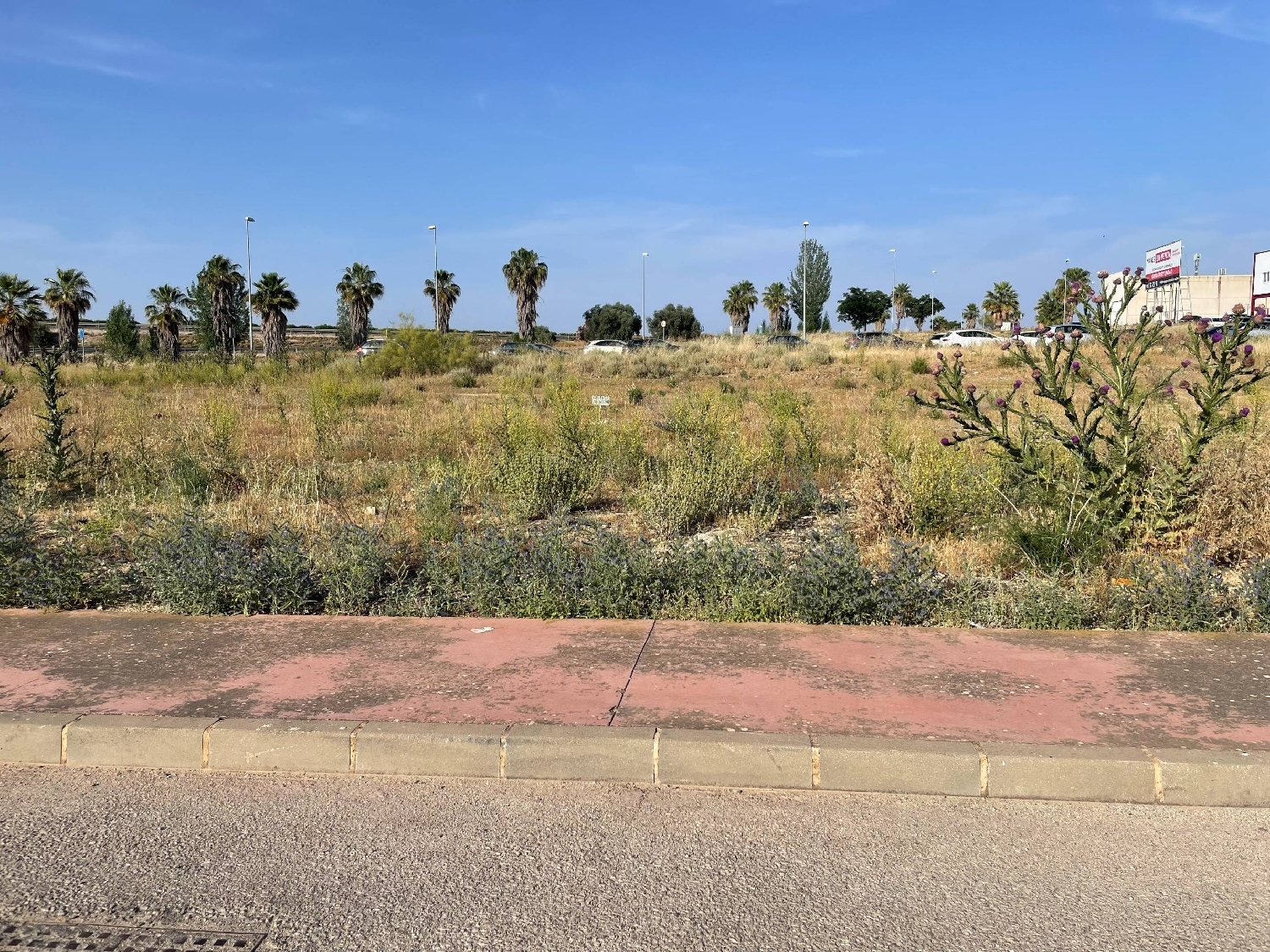  kaufen Grundstück Mollina Antequera 6