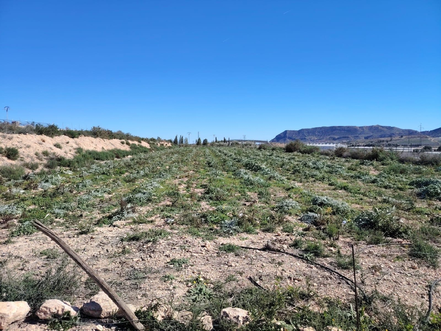  till salu tomt Monforte Del Cid Vinalopó Mitjà 1