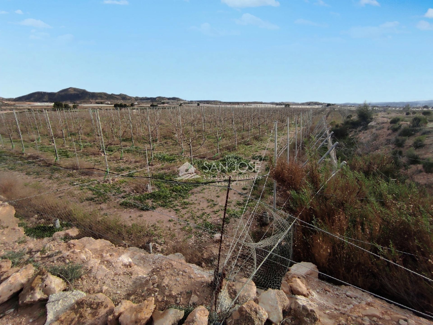  till salu tomt Monforte Del Cid Vinalopó Mitjà 3