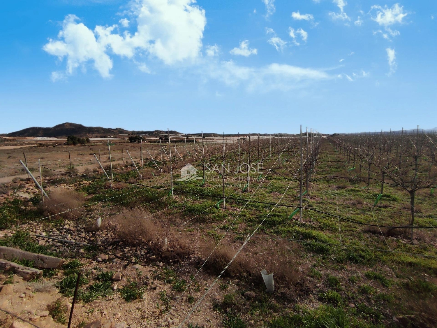  till salu tomt Monforte Del Cid Vinalopó Mitjà 1