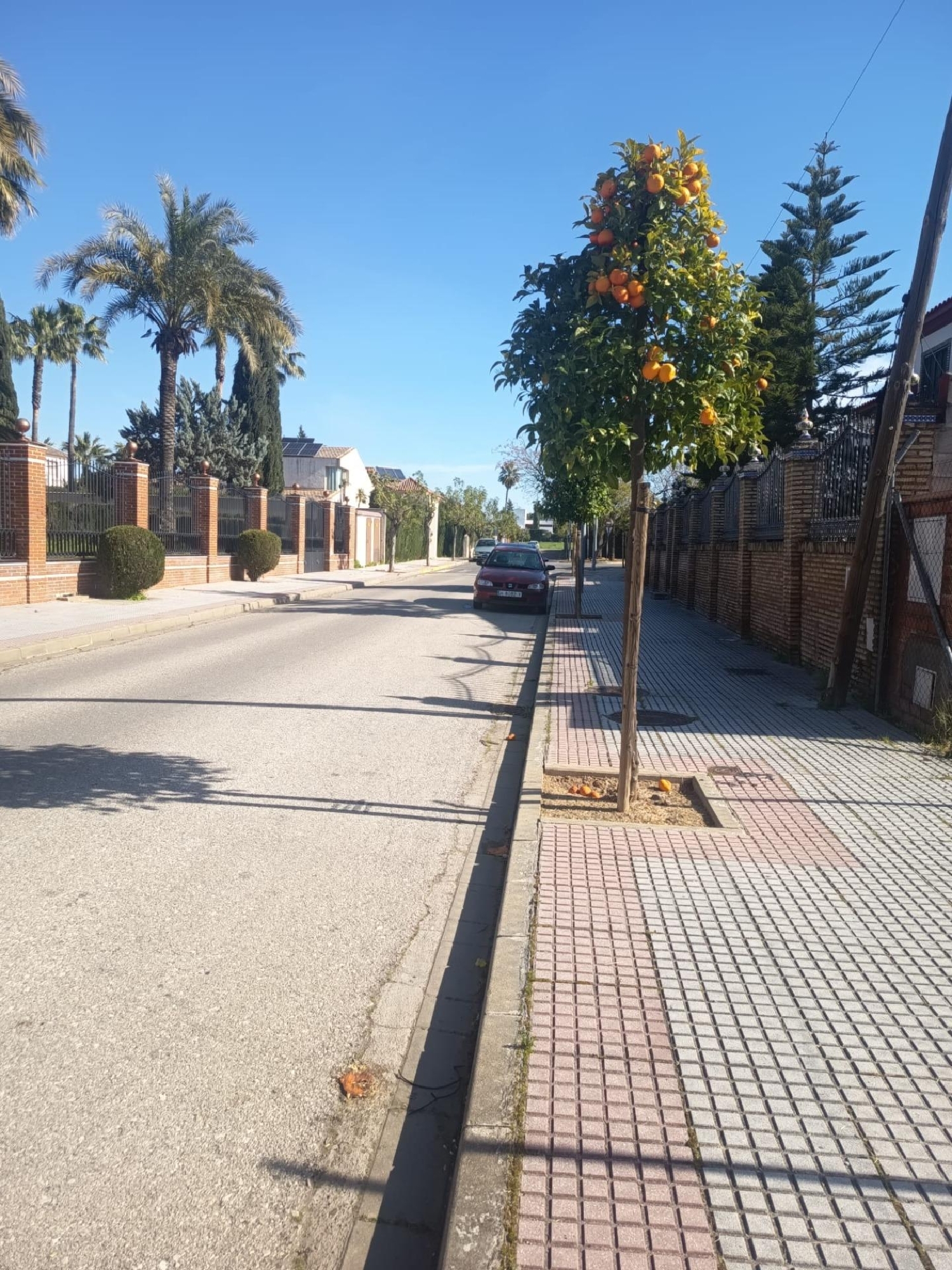 for sale plot Montequinto Metropolitana De Sevilla 3