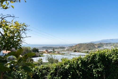 Motril Costa Tropical plot foto 6351891