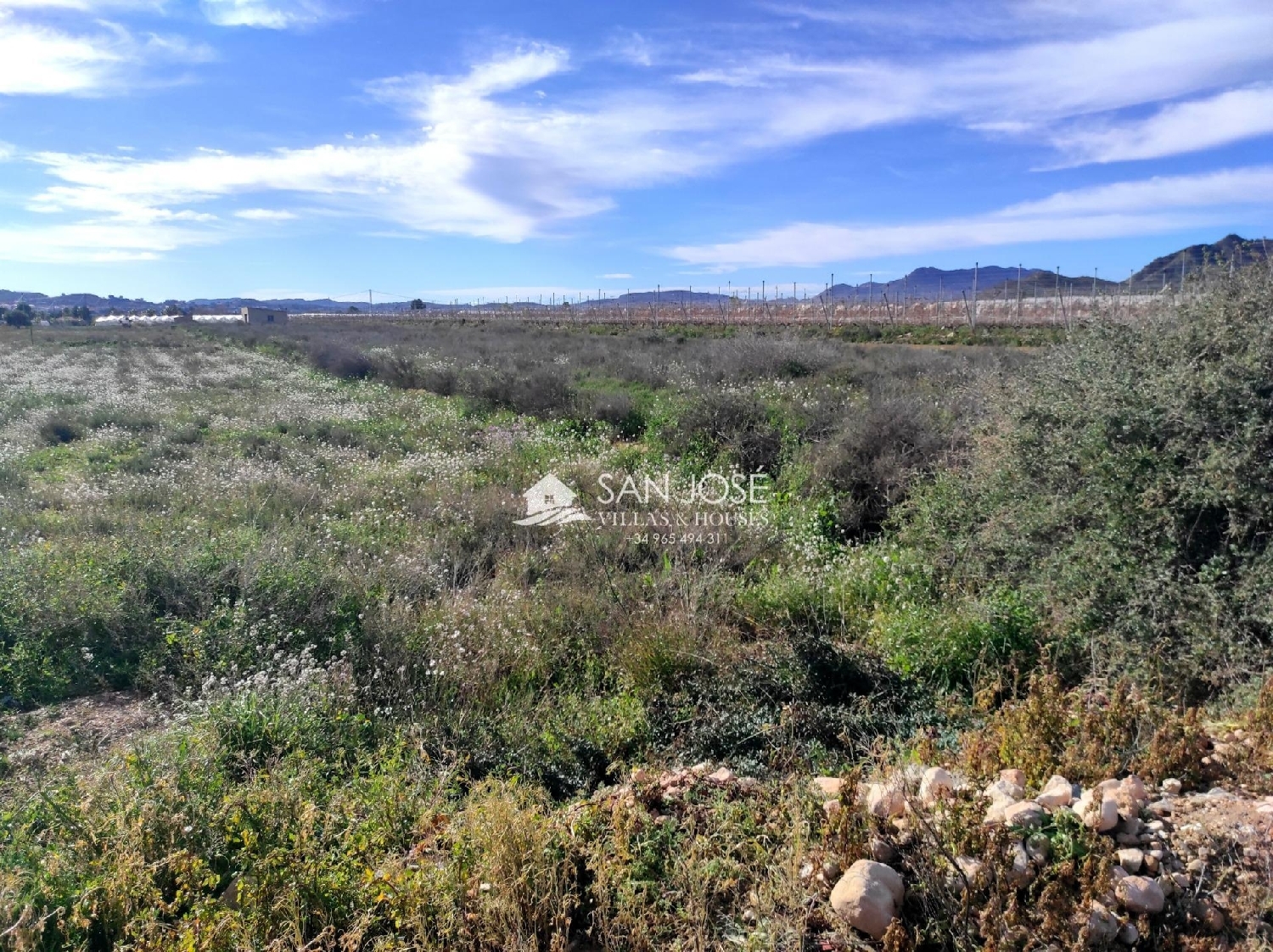  kaufen Grundstück Novelda Vinalopó Mitjà 2
