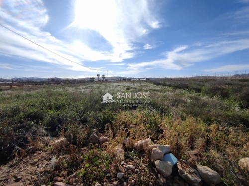 Novelda Vinalopó Mitjà Grundstück Bild 6346074