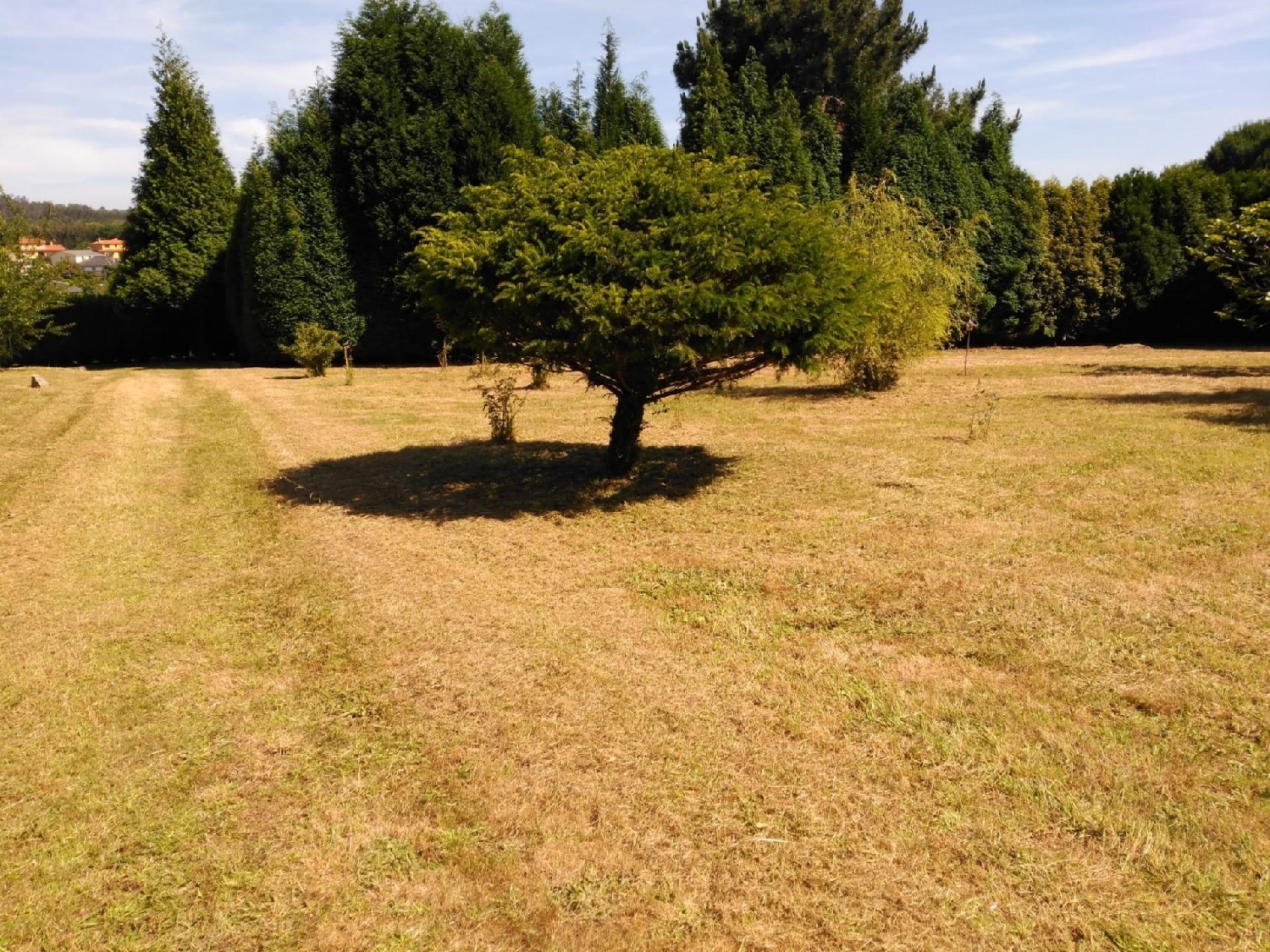  te koop perceel Oleiros Coruña 6