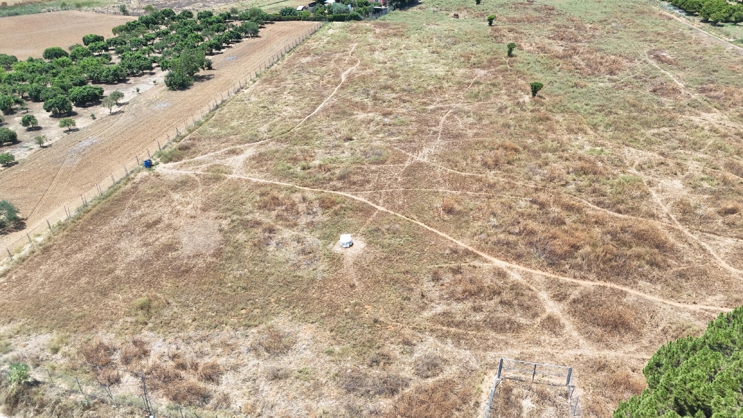  kaufen Grundstück Olivares Aljarafe 3