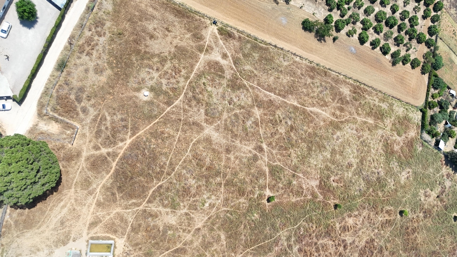  kaufen Grundstück Olivares Aljarafe 8