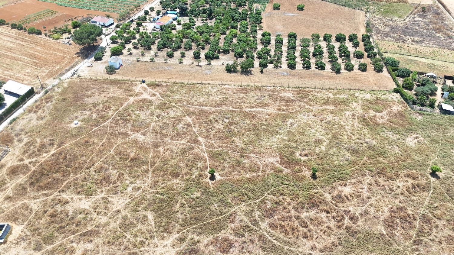  kaufen Grundstück Olivares Aljarafe 5