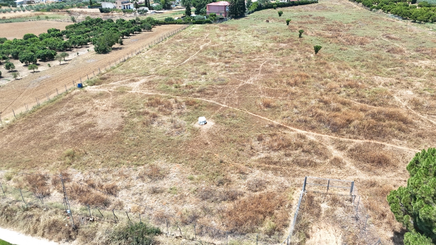  kaufen Grundstück Olivares Aljarafe 4