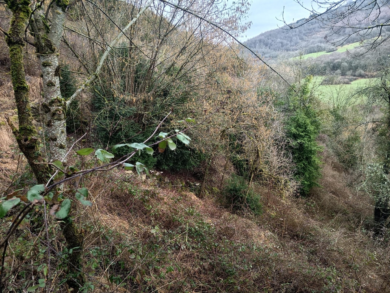  te koop perceel Orbaitzeta Pirineo 7